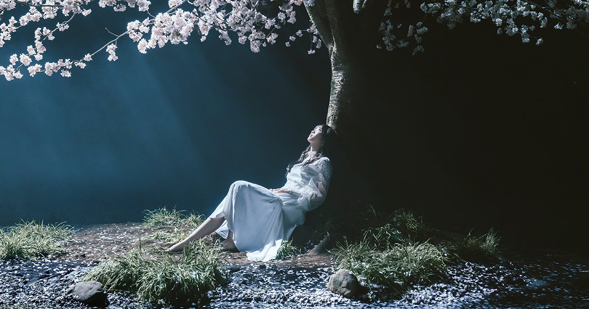 Aimer Official Web Site